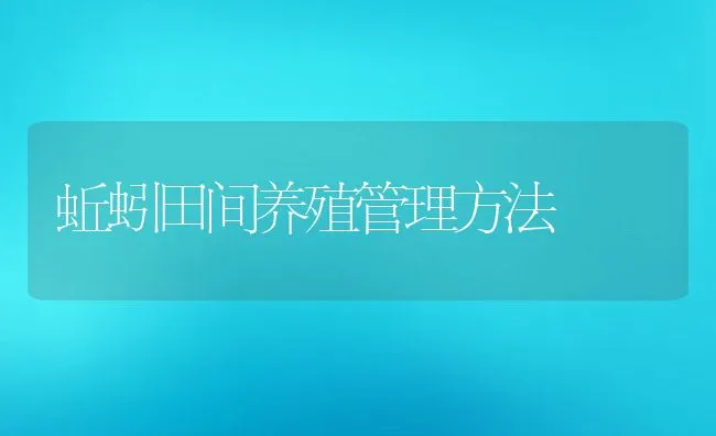 蚯蚓田间养殖管理方法 | 水产养殖知识