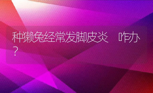 引进种兔需谨慎 | 动物养殖学堂