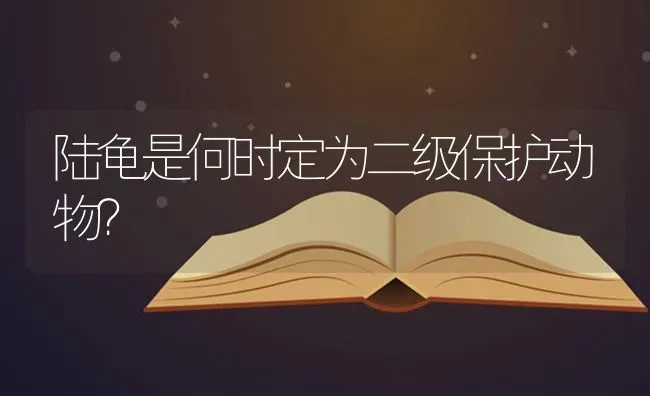 双瞳猫是什么品种？ | 动物养殖问答