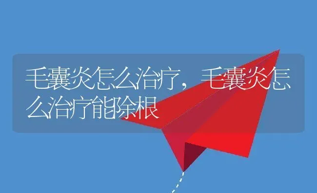 毛囊炎怎么治疗,毛囊炎怎么治疗能除根 | 宠物百科知识