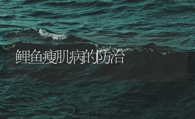 鲤鱼瘦肌病的防治 | 海水养殖技术