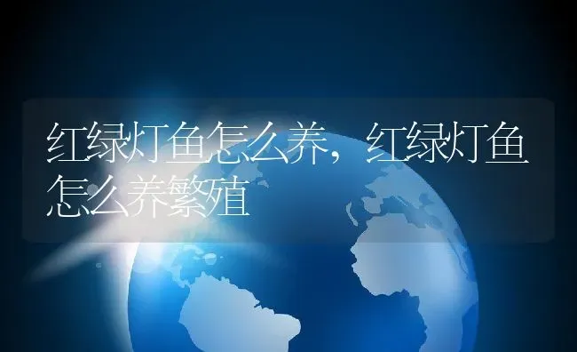 养仓鼠是否会染上鼠疫,养仓鼠是否会染上鼠疫人有什么表现 | 宠物百科知识