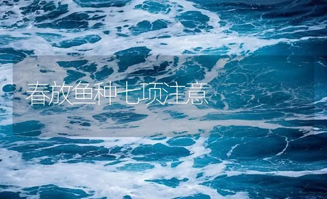 春放鱼种七项注意 | 海水养殖技术