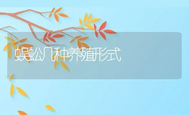 蜈蚣几种养殖形式 | 动物养殖百科