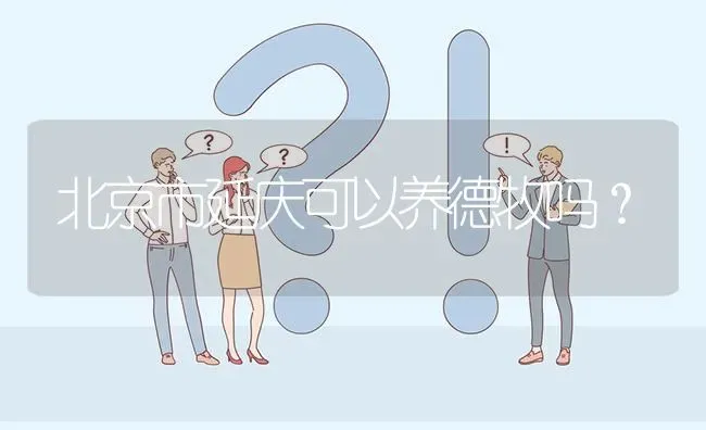 北京市延庆可以养德牧吗？ | 动物养殖问答