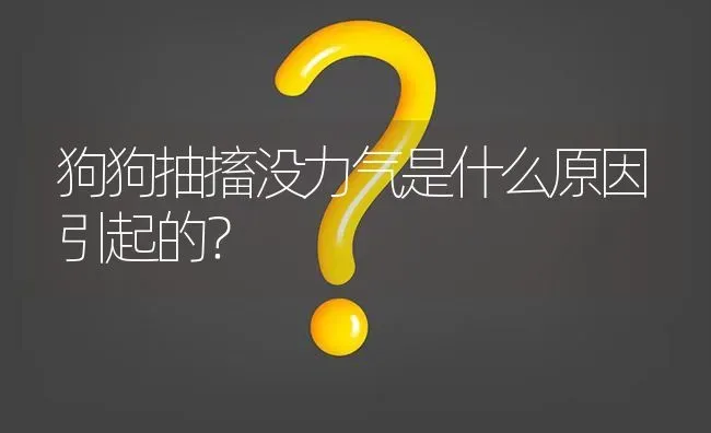 狗狗抽搐没力气是什么原因引起的？ | 动物养殖问答