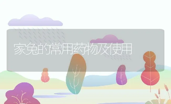 家兔的常用药物及使用 | 水产养殖知识