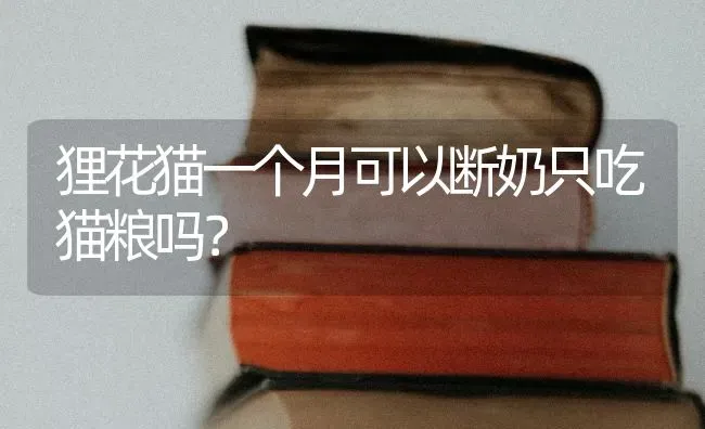 如何说服不喜欢狗的父母养狗？ | 动物养殖问答