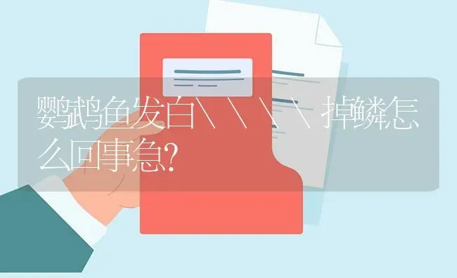 鹦鹉鱼发白\\掉鳞怎么回事急？ | 鱼类宠物饲养