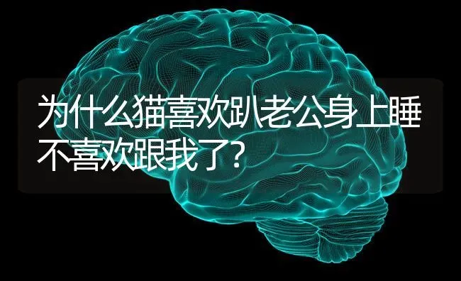 狗狗得细小了，脱水症状是什么样？ | 动物养殖问答