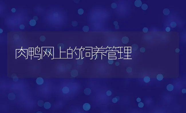 兔病毒性出血症如何诊断？ | 水产养殖知识