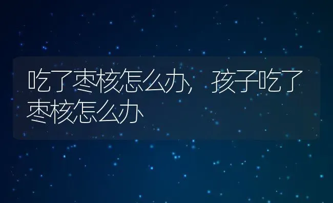 吃了枣核怎么办,孩子吃了枣核怎么办 | 宠物百科知识