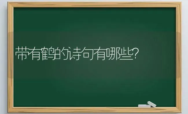 带有鹤的诗句有哪些？ | 动物养殖问答