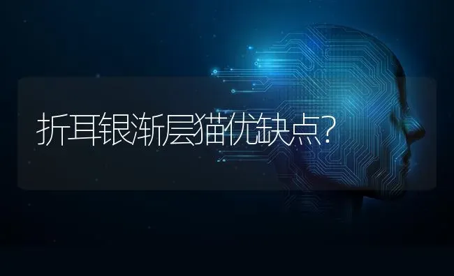 折耳银渐层猫优缺点？ | 动物养殖问答