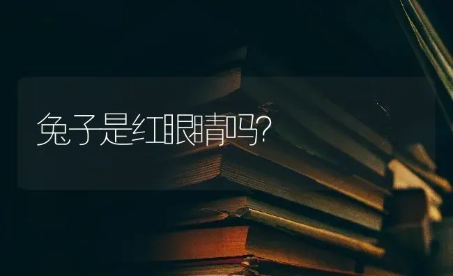 兔子是红眼睛吗？ | 动物养殖问答