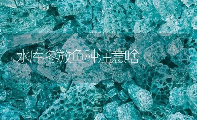 水库冬放鱼种注意啥 | 海水养殖技术