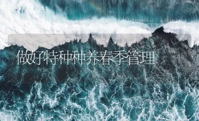 做好特种种养春季管理 | 海水养殖技术