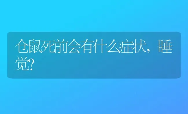 仓鼠死前会有什么症状，睡觉？ | 动物养殖问答