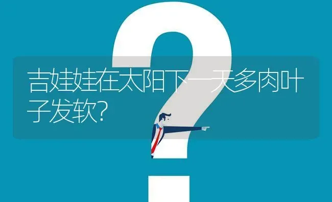 吉娃娃在太阳下一天多肉叶子发软？ | 动物养殖问答