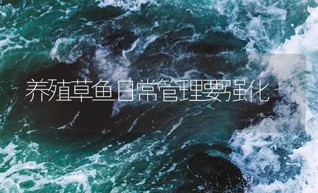 养殖草鱼日常管理要强化 | 海水养殖技术