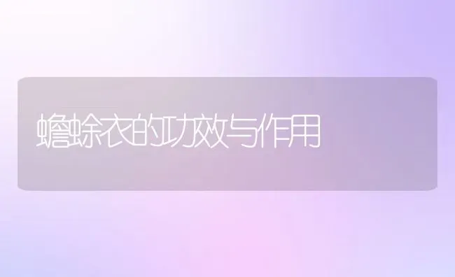 蟾蜍衣的功效与作用 | 动物养殖百科