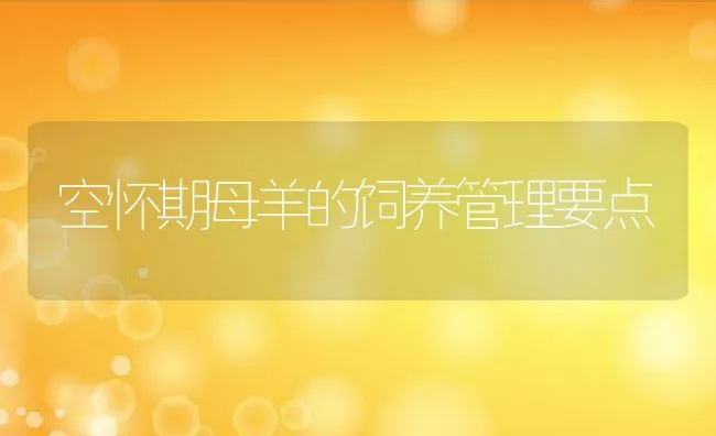 野外泥塘防病养鳖 | 海水养殖技术