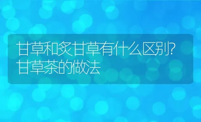 甘草和炙甘草有什么区别?甘草茶的做法 | 动物养殖百科