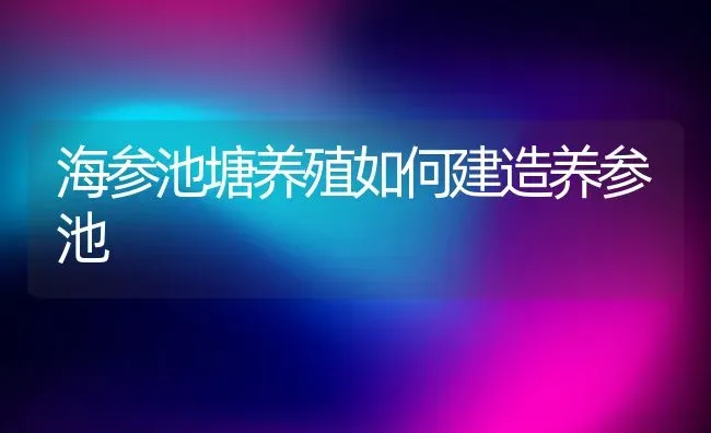 海参池塘养殖如何建造养参池 | 动物养殖教程