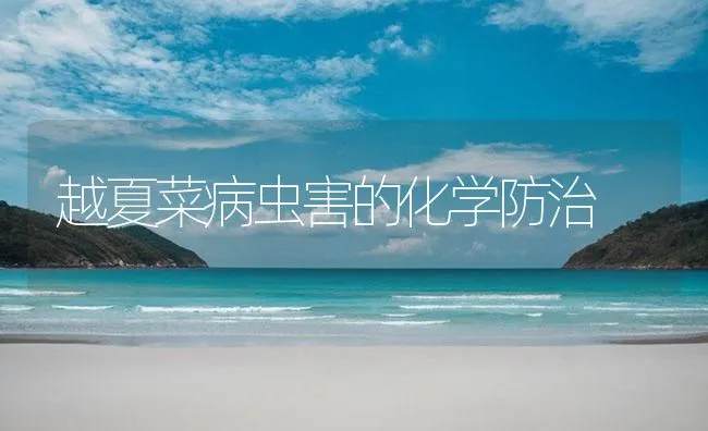 越夏菜病虫害的化学防治 | 海水养殖技术