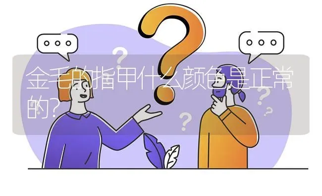 金毛的指甲什么颜色是正常的？ | 动物养殖问答