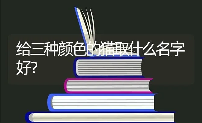 给三种颜色的猫取什么名字好？ | 动物养殖问答