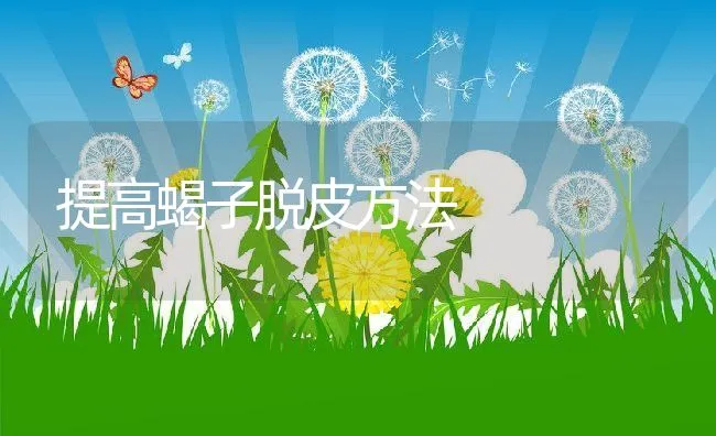 提高蝎子脱皮方法 | 动物养殖饲料