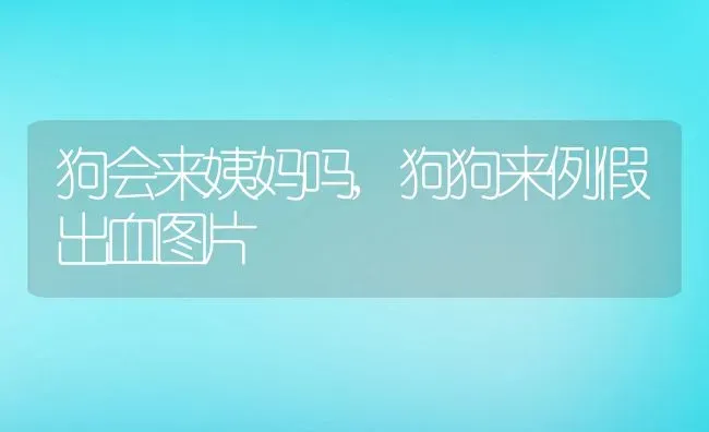 鼹鼠是什么动物,鼹鼠是什么动物图片 | 宠物百科知识