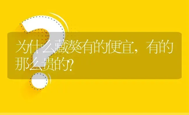 为什么藏獒有的便宜，有的那么贵的？ | 动物养殖问答