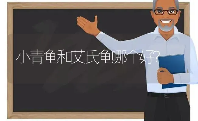 小青龟和艾氏龟哪个好？ | 动物养殖问答