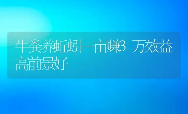 牛粪养蚯蚓一亩赚3万效益高前景好 | 动物养殖百科