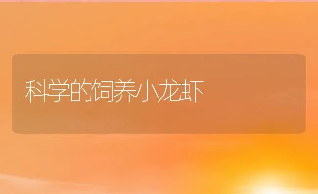 科学的饲养小龙虾 | 动物养殖饲料