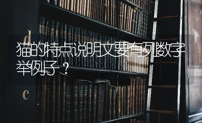 曼基康猫相当于几岁智商？ | 动物养殖问答