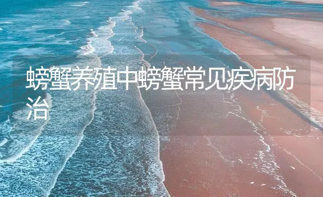 螃蟹养殖中螃蟹常见疾病防治 | 海水养殖技术