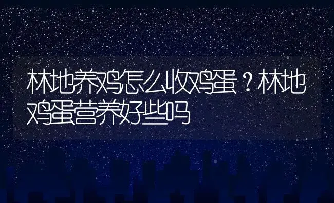 林地养鸡怎么收鸡蛋？林地鸡蛋营养好些吗 | 动物养殖百科