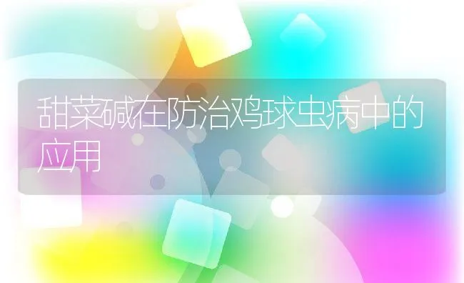 甜菜碱在防治鸡球虫病中的应用 | 动物养殖学堂