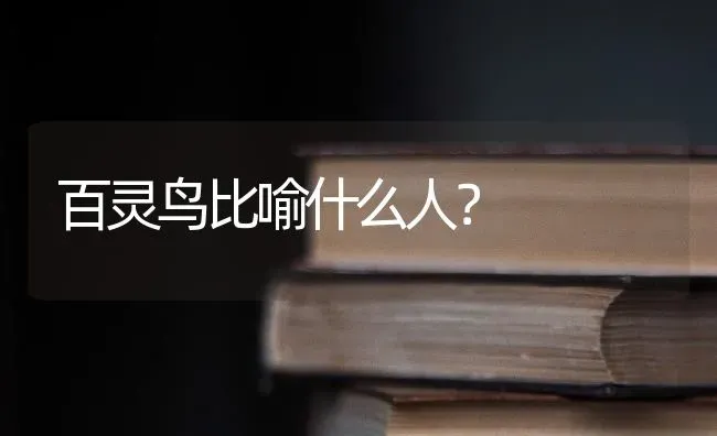 百灵鸟比喻什么人？ | 动物养殖问答