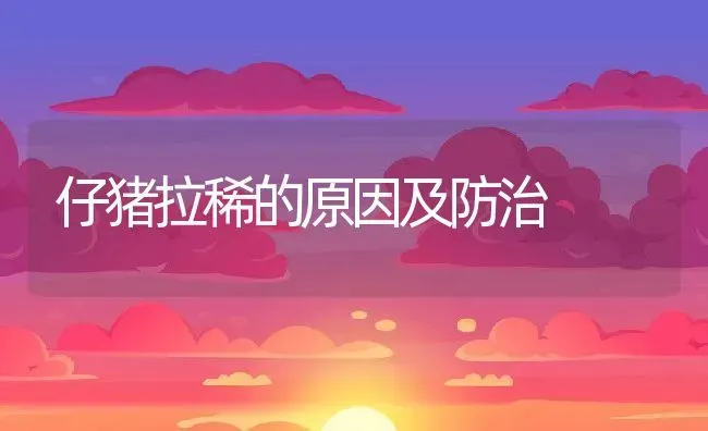 仔猪拉稀的原因及防治 | 动物养殖百科