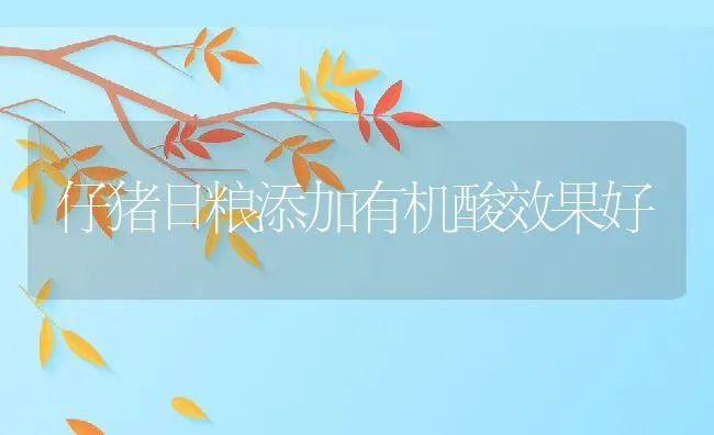 仔猪日粮添加有机酸效果好 | 动物养殖学堂