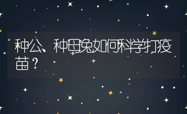 种公、种母兔如何科学打疫苗？ | 水产养殖知识