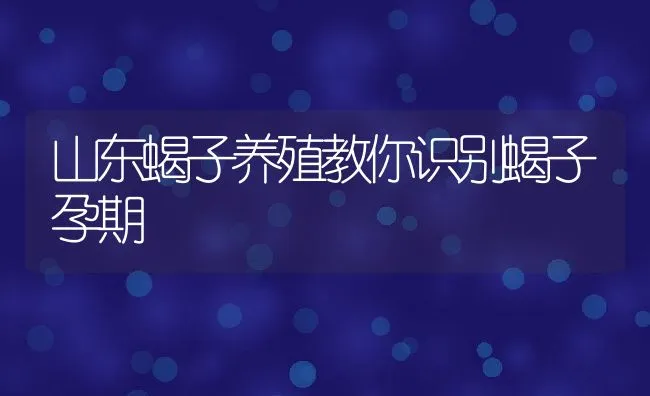 在日粮中添加酶可以提高鸭的生长性能 | 动物养殖学堂