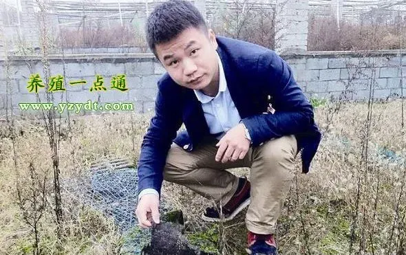 90后小伙创业进山村 养殖药用蜈蚣终致富