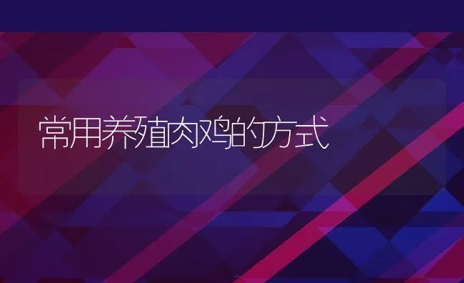 常用养殖肉鸡的方式 | 动物养殖饲料