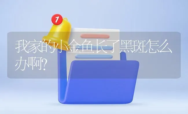 潮汕红条叫什么？ | 鱼类宠物饲养