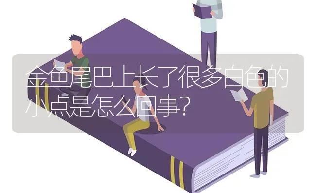 金鱼尾巴上长了很多白色的小点是怎么回事？ | 鱼类宠物饲养